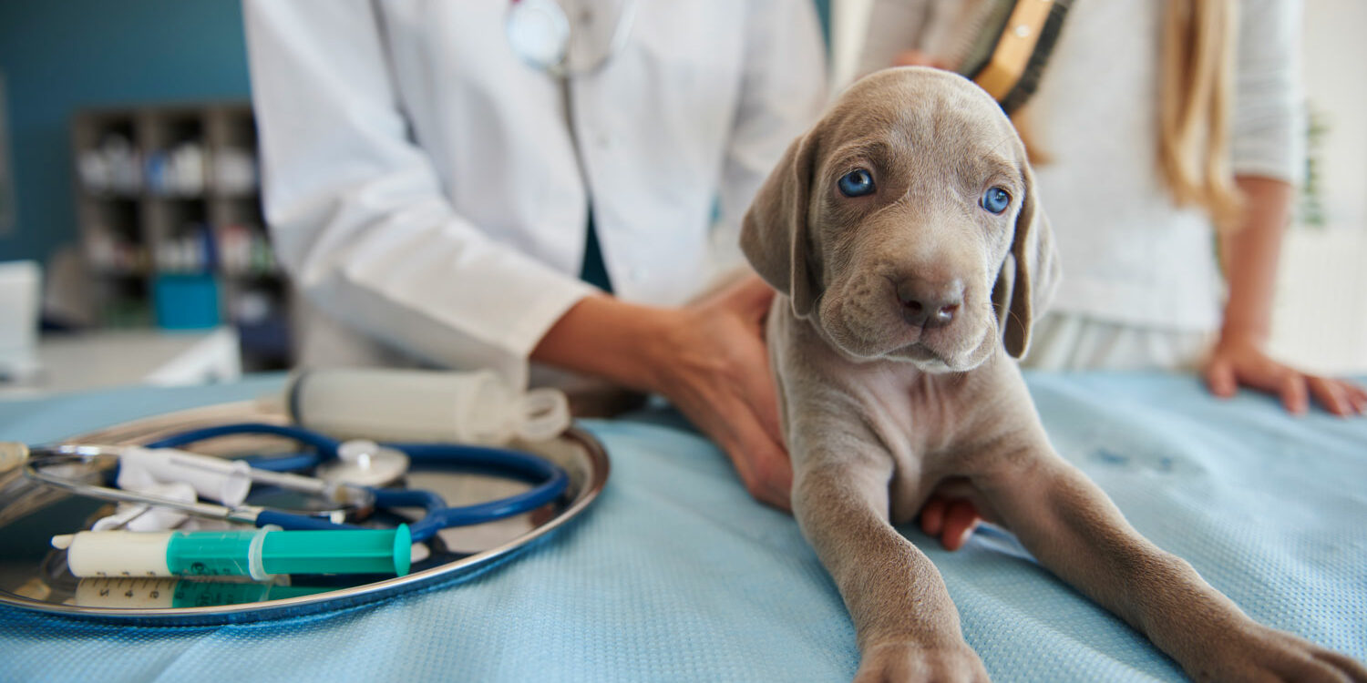 priprava-pacienta-pred-operaciou