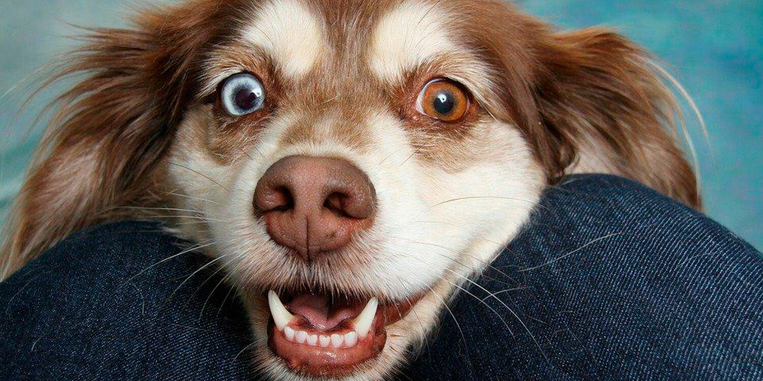 Ochorenia-dutiny-ústnej